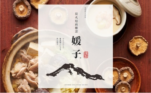 訳あり 乾燥椎茸 「媛子」 240g 炭火焙煎 【2026年11月下旬頃から順次発送】  | 家庭用 ワケアリ しいたけ 訳アリ 椎茸 乾燥しいたけ キノコ きのこ ギフト オススメ 愛媛県 松山市