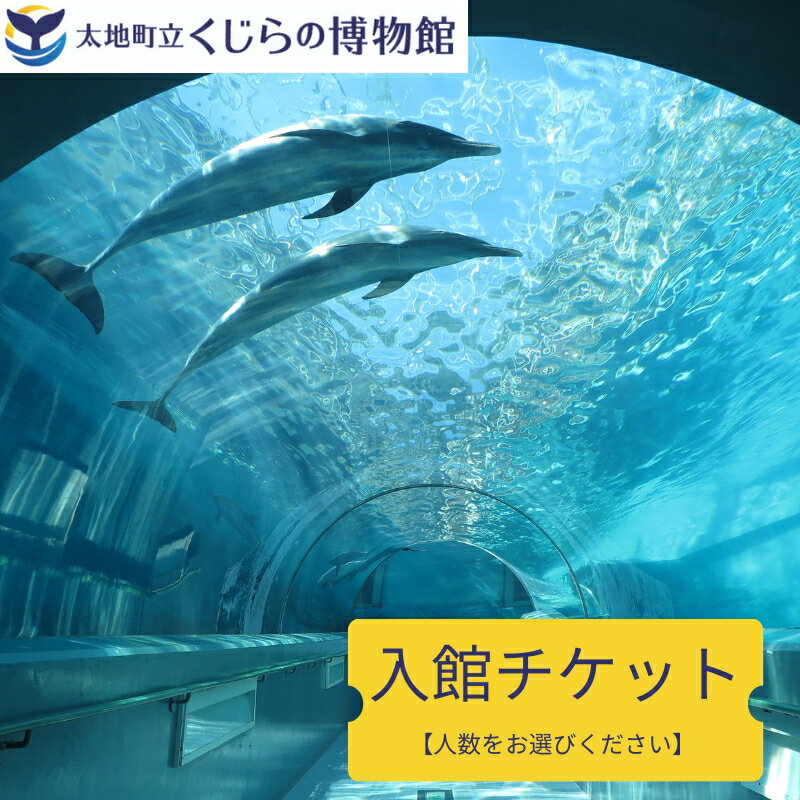 【ふるさと納税】太地町立くじら博物館　入館チケット/大人1名分 大人2名分 大人2名+子供1名 チケット 入館券 博物館 くじら 鯨