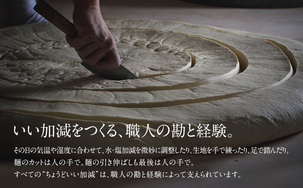 海津屋　氷見うどん細麺４本入り 富山県 氷見市 乾麺 うど