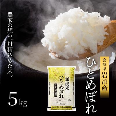 ふるさと納税 岩沼市 【先行予約】令和7年産新米 ひとめぼれ 5kg 無洗米 宮城県 岩沼市[No.5704-1215]