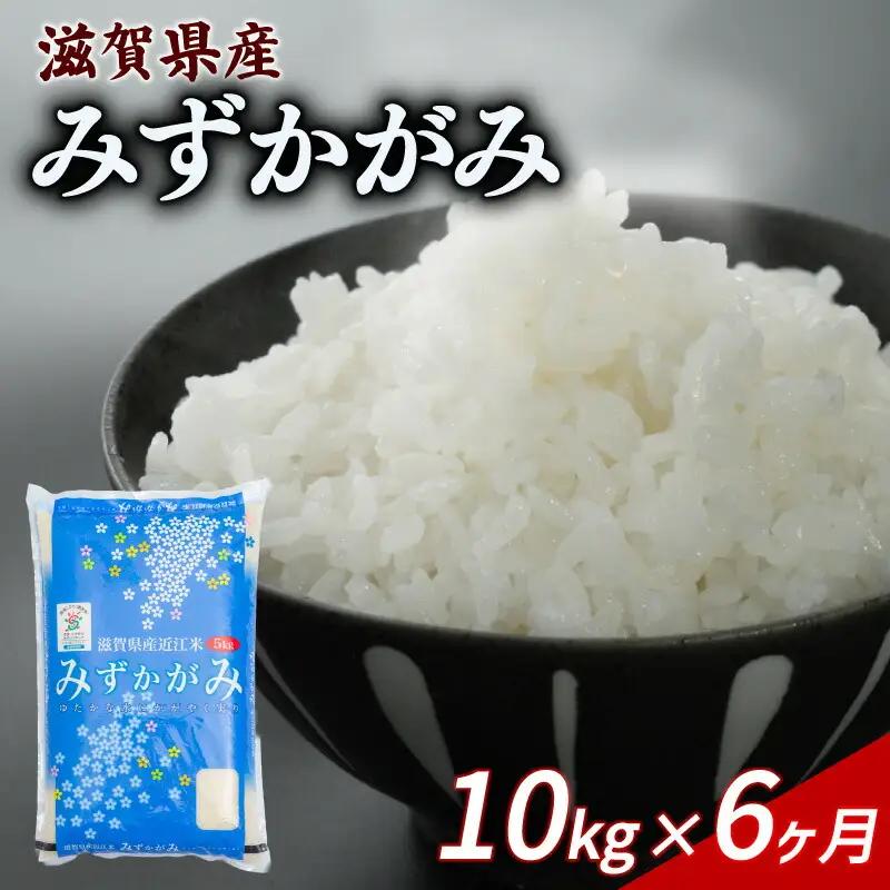【6ヶ月定期便】みずかがみ 10kg 令和7年産 ミズカガミ 定期便 お米 米