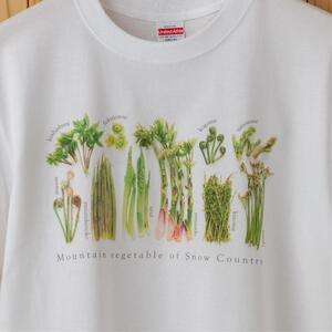 世界で唯一!着る山菜!!【山菜図鑑Tシャツ・白】綿100% 半袖 ファッション メンズ レディース 洋服 新潟  Mサイズ