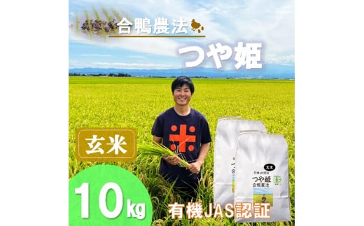 【令和7年産・玄米】ecofarmすがわらの有機JAS認証つや姫10kg※10月下旬頃から順次配送