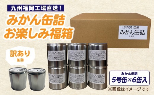 九州福岡工場直送！ もったいな果シリーズ みかん缶詰 5号缶×6缶入 お楽しみ 福箱 缶詰 みかん 温州みかん もったいない 訳あり 備蓄 保存 福岡県 八女市