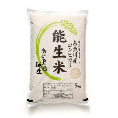 ふるさと納税 糸魚川市 【令和8年産】能生米コシヒカリ 5kg　白米　新潟県糸魚川市能生谷産 |  | 01