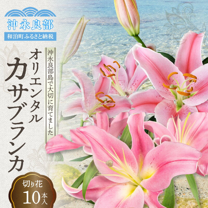 【ふるさと納税】 沖永良部島で大切に育てられた オリエンタル・カサブランカ の 花 セット お花 装花 カサブランカ オリエンタル百合 オリエンタルユリ ハイブリット百合 きれい 可愛い 美しい ゴージャス 福山花店 鹿児島県 和泊町 おすすめ ランキング プレゼント ギフト