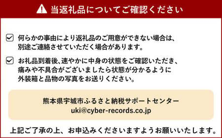 宇城市産 恋みのり イチゴ 4パック 約1kg【2025年2月上旬から3月下旬発送予定】苺 いちご イチゴ 恋みのり