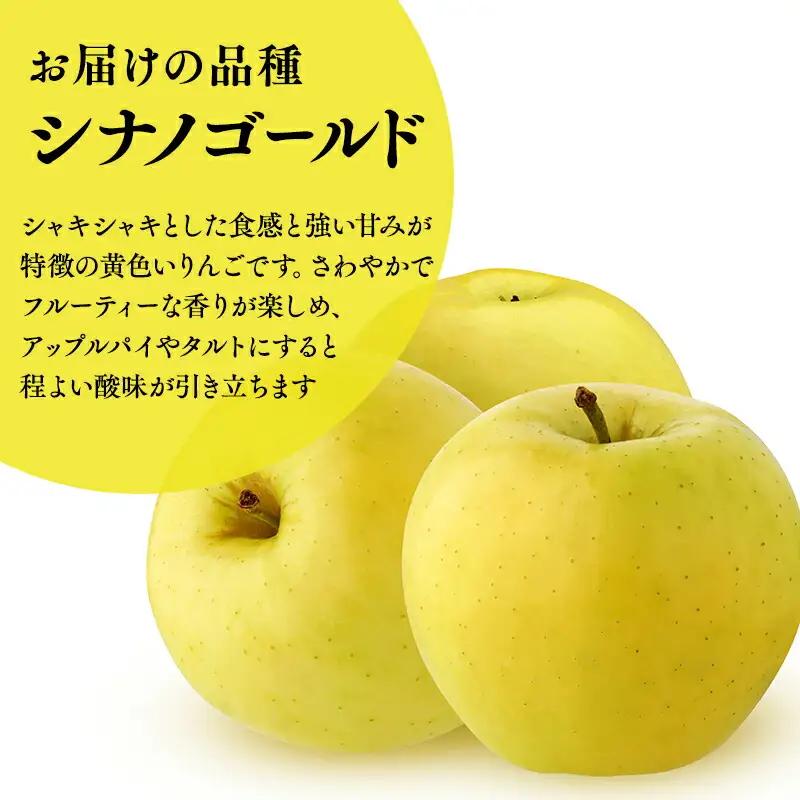 りんご 家庭用 シナノゴールド 約3kg 青森県平川市産　[hi-0036-006]