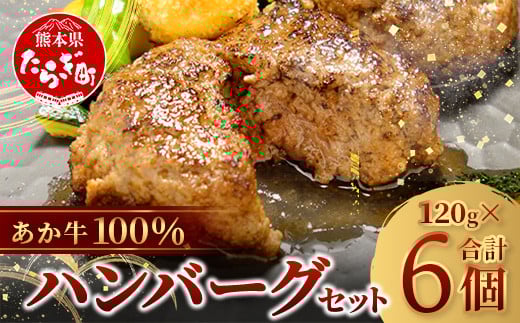【 2月発送 】あか牛 100％ハンバーグ セット 120g×6個【 ハンバーグ あか牛 牛肉 肉 熊本産 国産牛 和牛 旨味 うま味 ぎっしり 熊本県 多良木町 牛肉 】046-0638-2