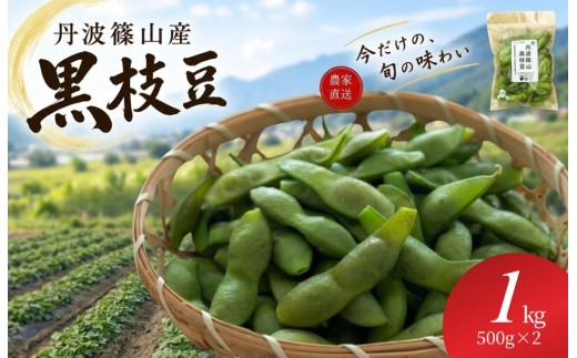丹波篠山産黒枝豆 1kg（500g×2袋）　 プレミアム枝豆 期間限定 黒枝豆 えだまめ エダマメ お取り寄せグルメ 高級 特産品 名産品 おつまみ おうち居酒屋