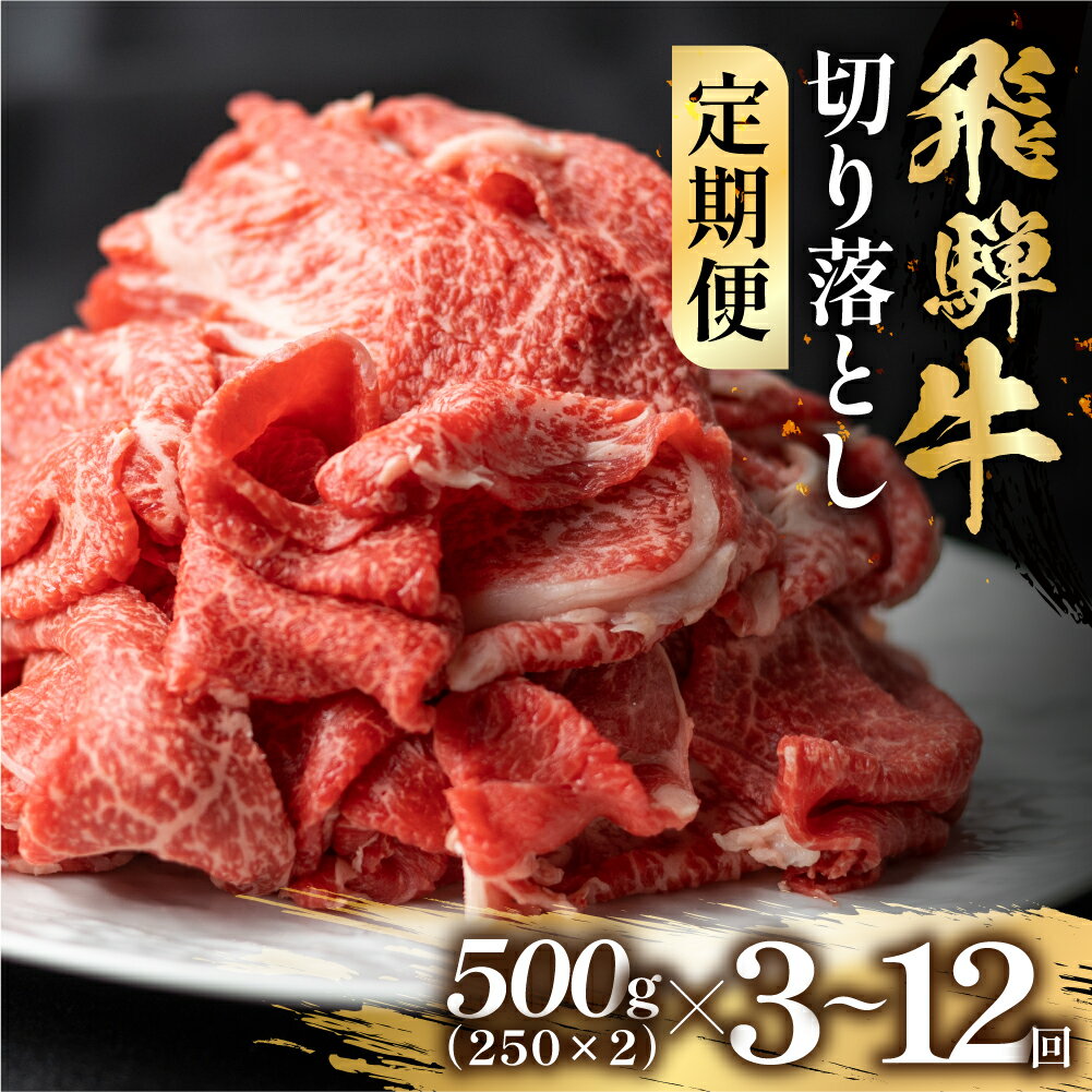 【ふるさと納税】【定期便】全3回or全6回or全12回　飛騨牛 切り落とし 500g スライス 切落し 和牛 すき焼き すきやき 鍋 訳あり 訳アリ 不揃い 肉 お肉 にく 切り落とし 牛肉 おすすめ ワケアリ 駿河屋 岐阜県 白川村 30000円 [S952]