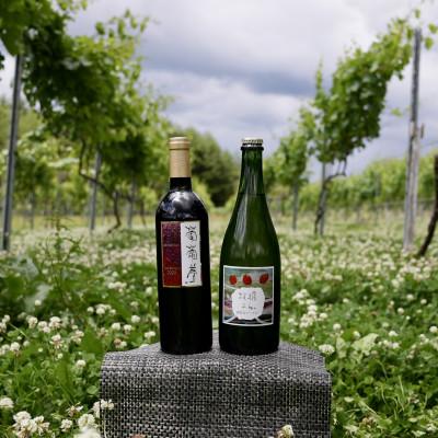 ふるさと納税 喜多方市 WINERY JUN【福島の恵み　りんごとぶどう酒(Bセット)】750ml×2本