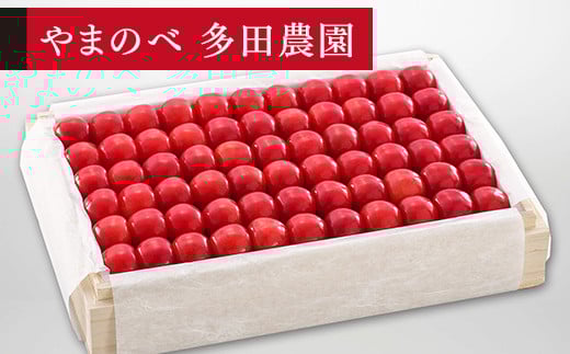 ≪2025年 先行予約≫さくらんぼ 特選佐藤錦 桐箱詰 約1100g「やまのべ多田農園」 F2Y-1397