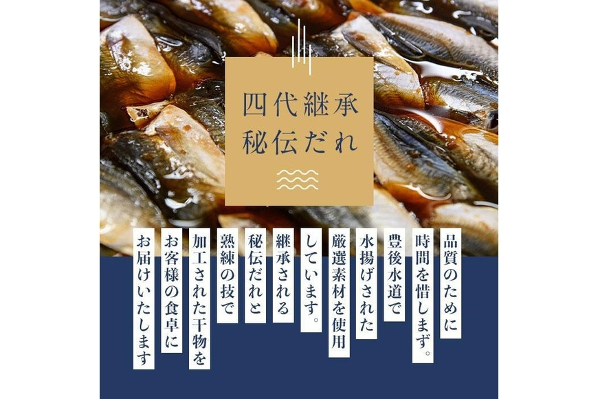 四代続く秘伝のたれ みりん干しセット (合計5種・48枚以上) 干物 ひもの 魚 さかな 鯵 あじ 鯖 さば かます 醤油 食べ比べ おかず 国産 詰め合わせ セット 大分県 佐伯市  【FT01】【田辺海産】