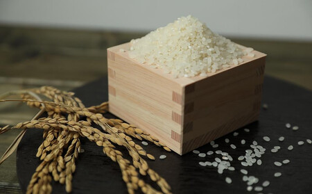 【京都岩倉坂原米作りプロジェクト】京都さかばら 角質ケアハンドクリーム(60g×1本)｜美容 コスメ 人気［ 京都 人気 おすすめ 米 コメ ギフト プレゼント 贈答 お取り寄せ 通販 送料無料 ふる