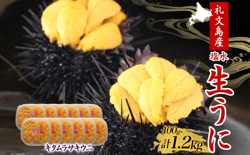 北海道 礼文島産  塩水ウニ （ キタムラサキウニ ）100g×12  生うに うに 雲丹 