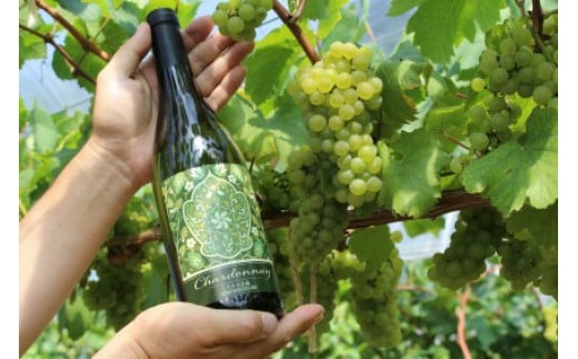 121 【数量限定】尺の内農園ワイン シャルドネ（1本）