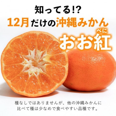 【2025年12月頃から順次発送】やんばる国頭村産の島みかん おお紅 3kg【1618480】