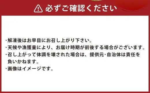 北海道産 【 骨なし切身 】 活〆ブリ切身セット3D冷凍 約600g（300g程度×2パック） 【 2026年7月上旬より順次発送予定 】 鰤 切身 骨 一口サイズ 照り焼き 竜田揚げ 冷凍 魚 魚類
