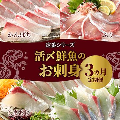 ふるさと納税 延岡市 【毎月定期便】【ふるさと納税】活〆鮮魚のお刺身 全3回
