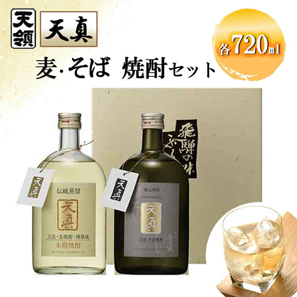 【ふるさと納税】【天領酒造】「天真」麦・そばセット 麦焼酎 蕎麦焼酎 （各 720ml×1本） 焼酎 お酒 下呂温泉 おすすめ 蔵元 飛騨 贈答品 贈り物 ギフト プレゼント お中元 父の日 母の日 敬老の日 成人の日 成人式 酒 麦 そば 蕎麦 13000円 岐阜県 下呂市
