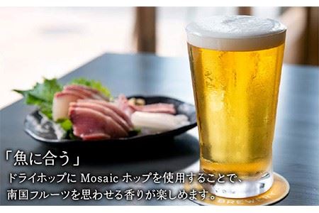 【全12回 定期便 】クラフトビール 地ビール  IPA 6本 【ISLAND BREWERY】 《 壱岐市 》[JED014] 204000 204000円