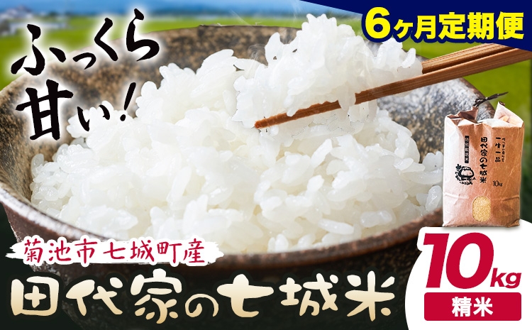 
                  【6ヶ月定期便 】令和7年産 菊池市七城町産 田代家の七城米 七城ヒノヒカリ 白米 10kg 田代こめや《お申込み翌月から出荷》熊本県 菊池市 米 お米 精米 ひのひかり 菊池市産 熊本県産 九州産 送料無料
                