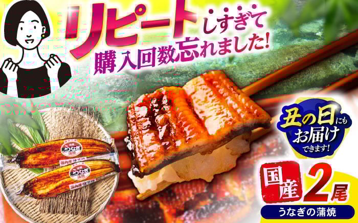 
            【最速発送】＜諫早淡水＞うなぎ蒲焼2尾 / うなぎ ウナギ 鰻 蒲焼き 蒲焼 かばやき ひつまぶし うな重 うな丼 冷凍 / 諫早市 / 活うなぎ問屋 諫早淡水 [AHAT004]  最速 最短 スピード 発送
          
