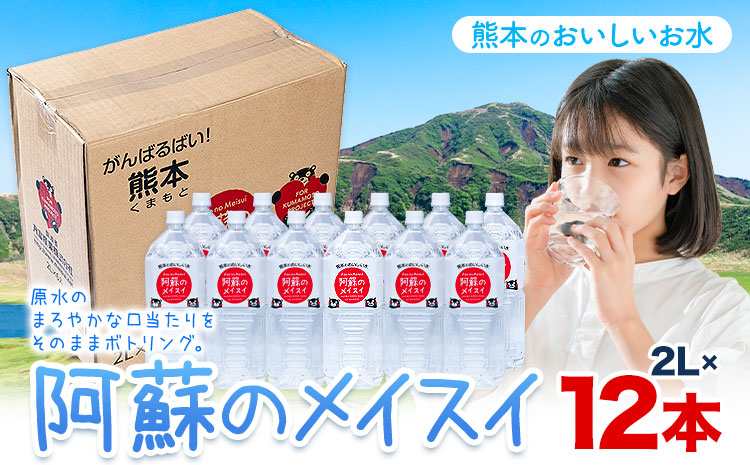 水 熊本 の おいしい お水 阿蘇のメイスイ阿蘇山 天然水 2L × 12本 2ケース 丸富産業《30日以内に出荷予定(土日祝除く)》熊本県 産山村 水 天然水 みず 熊本 飲料 熊本県 ミネラルウォーター