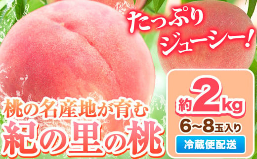 桃 もも 和歌山県産 約2kg 《2025年6月中旬-8月中旬頃出荷》 紀の里の桃 送料無料 6～8玉入り 旬の桃を厳選 モモ 果物 フルーツ お取り寄せ 和歌山 2025年先行予約 送料無料  白鳳 日川白鳳  なつっこ 清水白桃 川中島白桃  八旗白桃 ギフト 果物 くだもの フルーツ お取り寄せ 