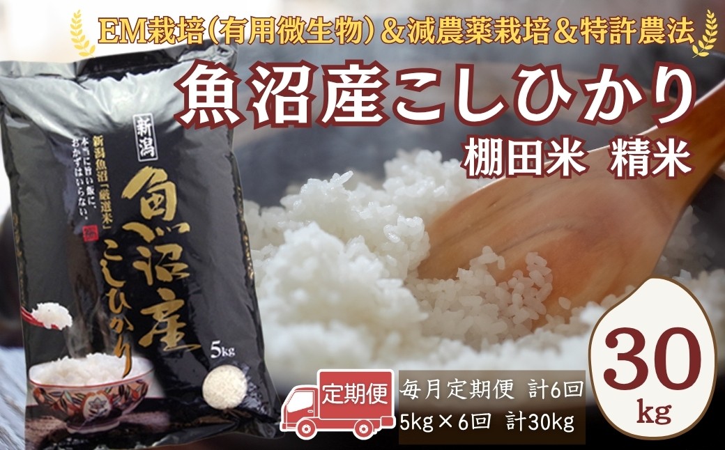 
                  【令和7年産】農家直送の棚田米 魚沼産コシヒカリ 精米 合計30kg 定期便 5kg×6回(毎月お届け) 佐藤農場 | 新潟県産 コシヒカリ お米 米 おこめ こめ コメ こしひかり 魚沼産 ブランド米【0018-0021DB00-03】
                