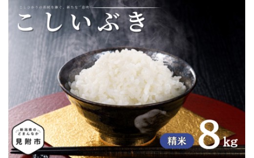 令和7年産 新潟県産 こしいぶき 8kg 精米 米 お米 白米 おすすめ 人気 こめ コメ 新潟 見附 見附市 7年 2025年産 ふるさと納税 諸長