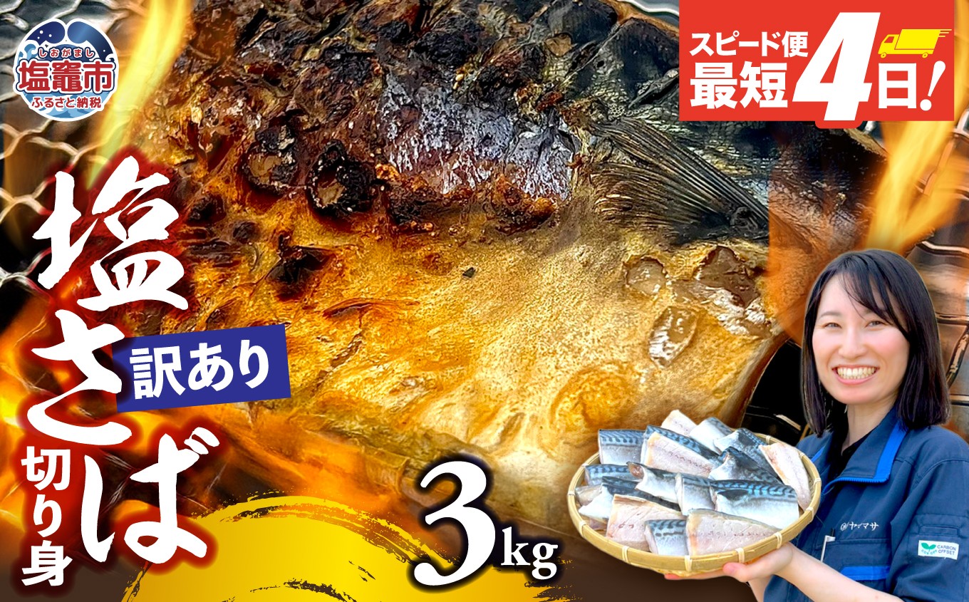 
                  訳あり 塩サバ 3kg 海鮮 無添加《一週間以内に出荷予定(土日祝除く)》切り身 さば サバ 魚 無添加 鯖 冷凍 塩さば 規格外 大容量 とろさば トロサバ 塩サバ 焼魚 鯖 海塩 おつまみ おかず 万能 塩竈市 塩釜 ヤママサ  ym00013-3000
                