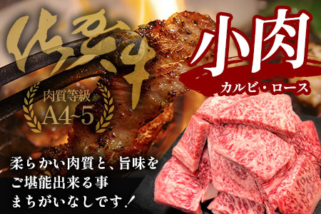 佐賀牛小肉500g（カルビ、ロース）B-840