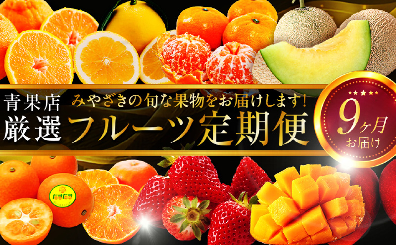 青果店厳選！「くだもの定期便Vol.1」(全9回) フルーツ 果物 定期便 9回 いちご きんかん 金柑 たまたま 日向夏 マンゴー メロン みかん 温州みかん 不知火 柑橘 柑橘類 青果物 青果 グルメ お取り寄せ ギフト
