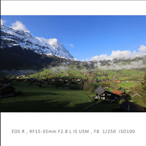 キヤノン Canon 広角ズームレンズ RF15-35mm F2.8 L IS USM