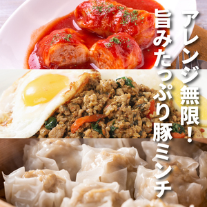 福袋 木城町 お肉いろいろお楽しみセットC K16_0071_1
