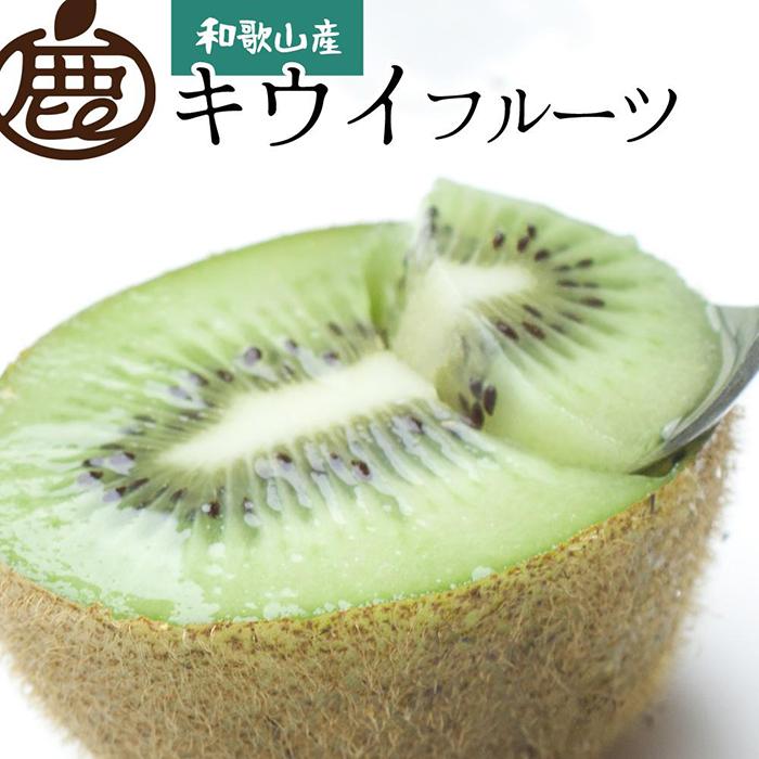 【ふるさと納税】［先行予約］厳選 キウイ1kg+250g（傷み補償分）【扁平果】［IKE106］