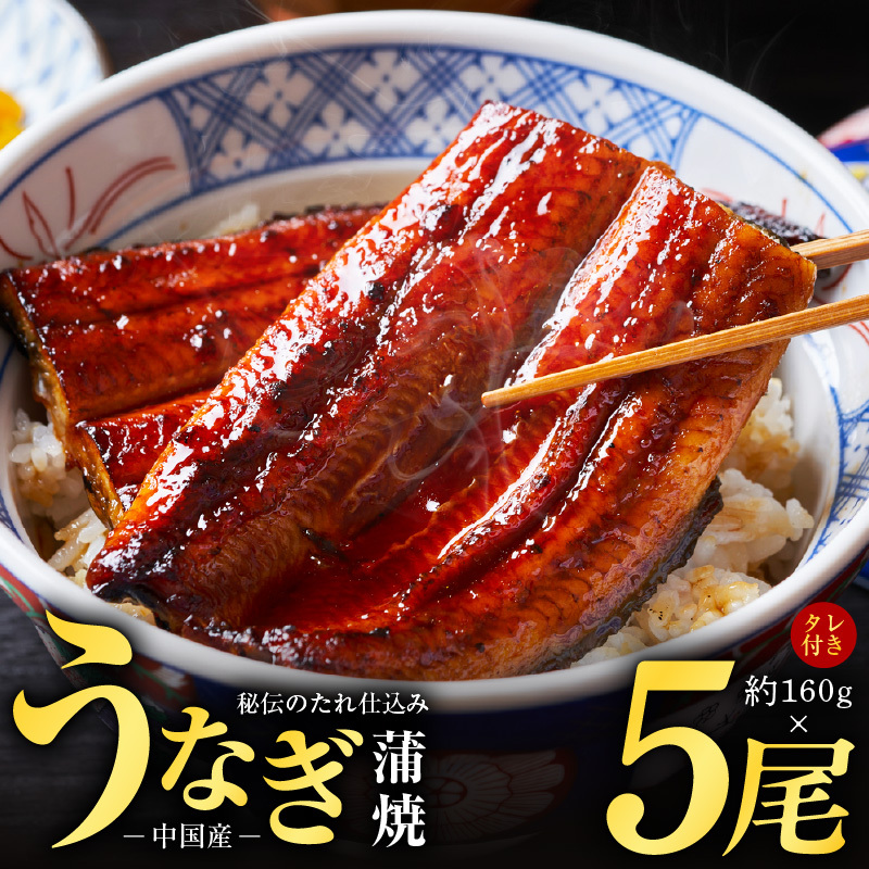 うなぎ蒲焼 合計800g【約160g×5尾 特製タレ 鰻 ウナギ 中国産 レンジ 温めるだけ 簡単調理 ふわふわ 炭火焼き 備長炭 手焼き】 G4150