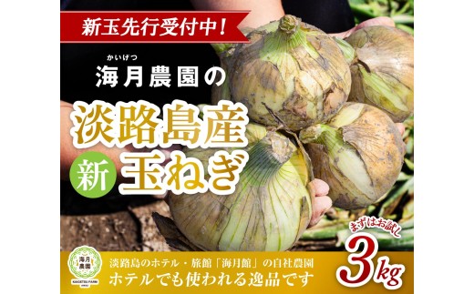 【新玉予約】海月館 自社農場栽培！淡路島産 新玉ねぎ 3kg