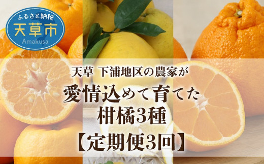 
S040-013_【定期便 3回】厳選！天草 下浦地区の農家が愛情込めて育てた柑橘3種〈先行予約〉
