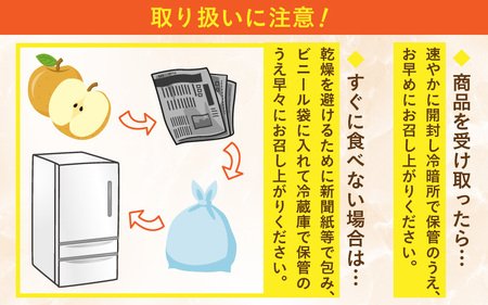 【先行予約】上野梨園のあきづき梨 5㎏箱入り（8～12玉入） / 梨園直送【上野の梨】 / 期間限定 果物 フルーツ 農家直送 シャキシャキ もぎたて 旬 お取り寄せ ※2025年9月下旬より順次発送