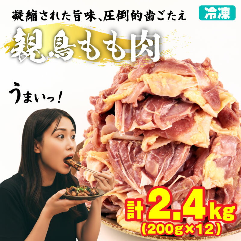 【ふるさと納税】 親鶏 もも肉 2.4kg 小分け 200g × 12 パック ひね鳥 ひね鶏 鶏肉 鶏 冷凍 冷凍便 チキン タンパク もも 肉 とり 鳥肉 精肉 ブランド鶏 父の日 鍋 汁物 郷土食 新潟親鶏 新潟産 新発田産 マルコ岩村 新潟県 新発田市 maruco001_01