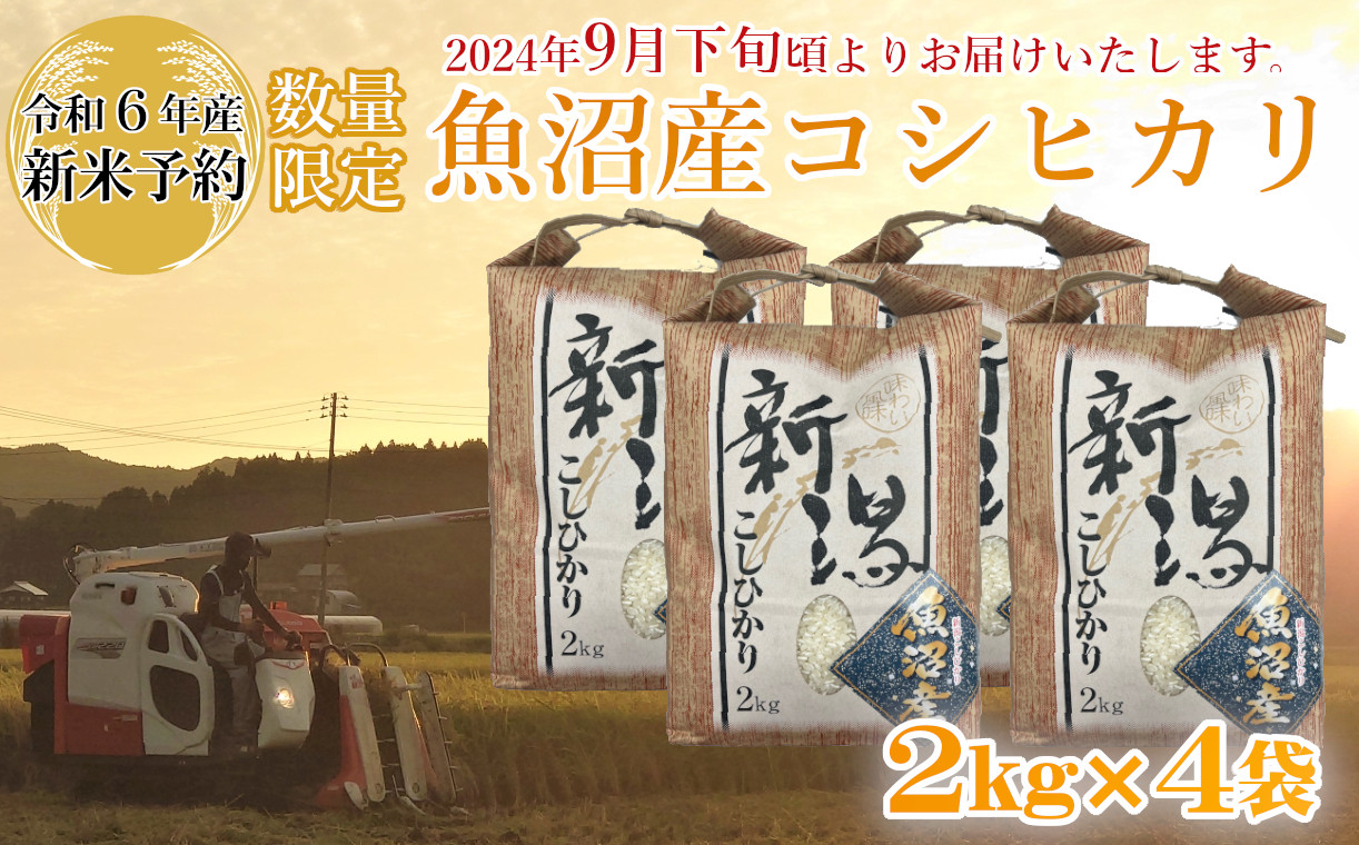 
M19P238 【令和6年産 新米予約】《数量限定》令和6年産 魚沼産コシヒカリ2kg×4袋 精米（宮内農園）早期受付 2024年9月下旬頃から発送開始 白米 魚沼 米
