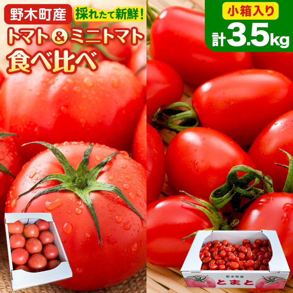 【ふるさと納税】トマト 小箱 約2kg + ミニトマト 小箱 約1.5kg 食べ比べ 栃木県 野木町産 矢畑むらづくり組合 《10月上旬-6月下旬頃出荷》栃木県 野木町 トマト ミニトマト 野菜 新鮮