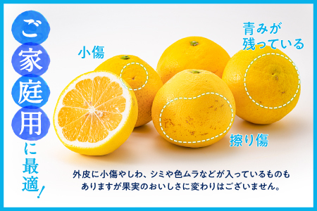 AA098.いわくま果樹園の「日向夏」約4kg／2024年4月発送予定
