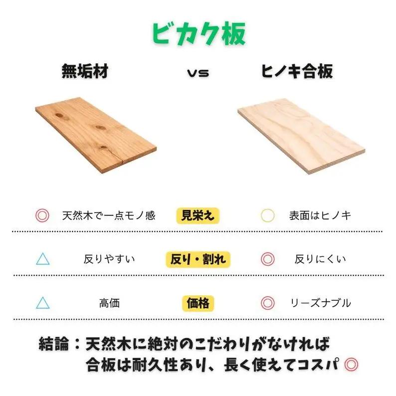 ビカクシダ板 SeamBoard A型 Mサイズ ビカクシダ コウモリラン 板付け 壁掛け 観葉植物 植物 おしゃれ インテリア 室内 無塗装 ギフト プレゼント 育てやすい 株式会社アサヒ 送料無料