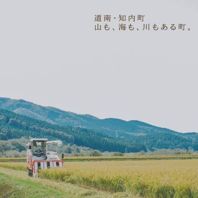 ふるさと納税 知内町 【令和7年産新米予約】「ゆきさやか10kg」特別栽培米産地直送《帰山農園》 |  | 02