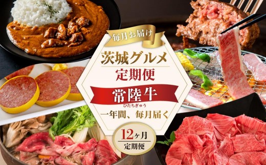 
                  12ヶ月 定期便 肉 高級肉 常陸牛 Aコース 毎月 常陸牛ハンバーグ 焼肉 すき焼き しゃぶしゃぶ コンビーフ レトルトカレー 国産牛 黒毛和牛 父の日 お取り寄せ お祝い 内祝い 出産 結婚 快気祝いプレゼント 誕生日 ギフト対応  茨城県 水戸市 肉のイイジマ（DU-111）
                