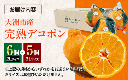 【3月下旬から順次発送】完熟デコポン 5～6個 デコポン  /フジ・アグリフーズ[AGBA008] みかん